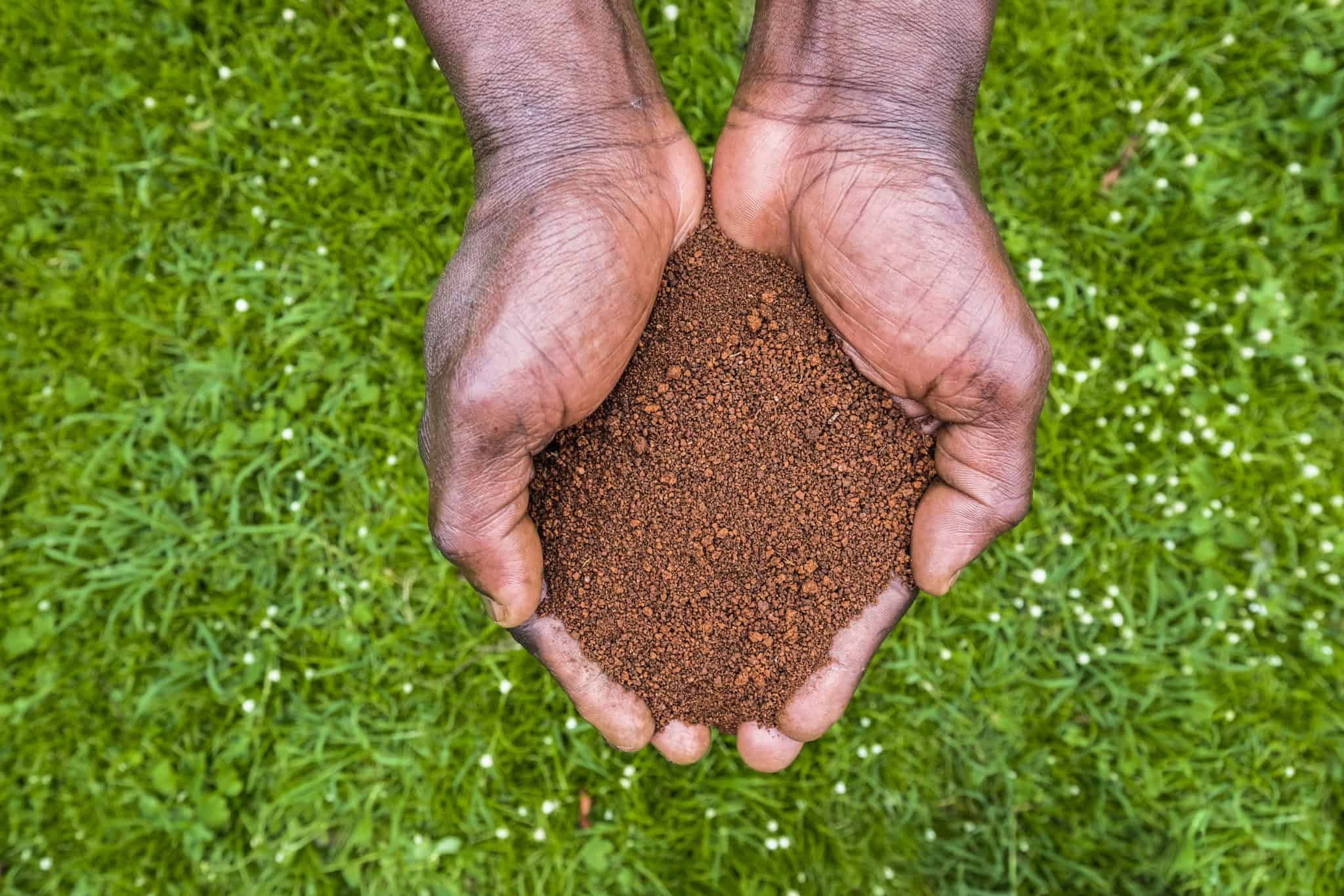 Soil photo