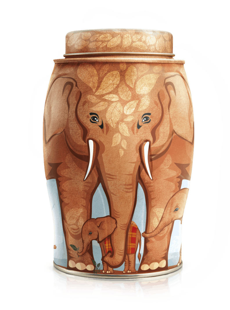 Elephant Tea Caddies from Williamson Tea Our Exclusive Tea Caddy