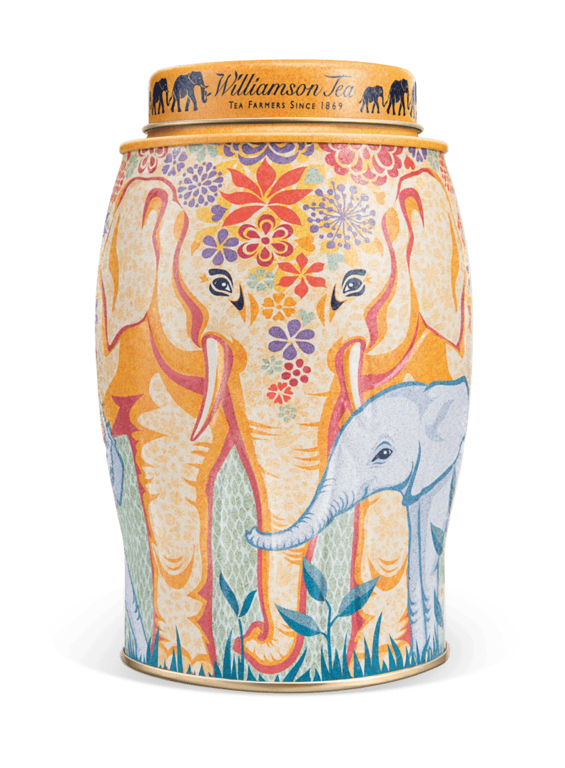 Elephant Tea Caddies from Williamson Tea Our Exclusive Tea Caddy